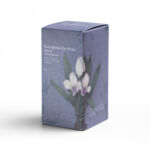 BlackGinger StickPack